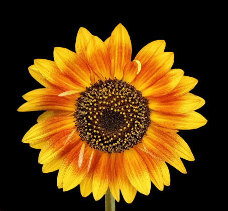 Gt9yvjjbt3wjskj7tjwcwb6h