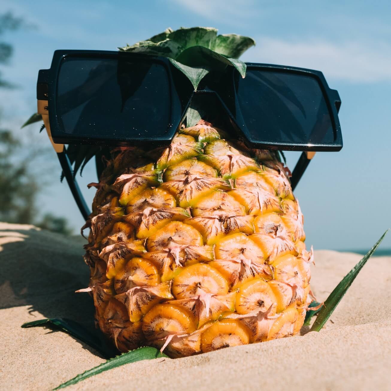 Rdreffsndmo3hf2kfq9bcca3